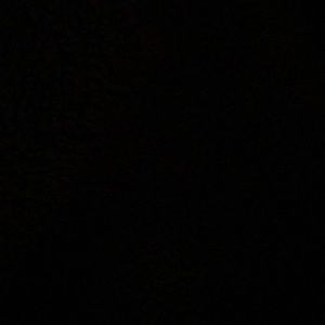 Meet your Posher, Dustin